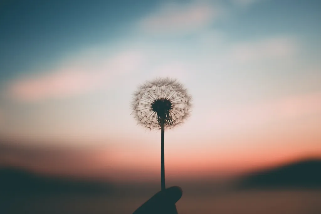 Affirmations pour la paix intérieure