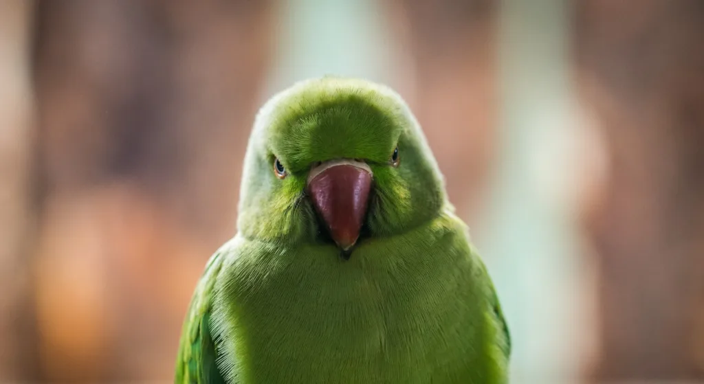 Affirmations for Anger