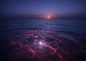 Meilleures Affirmations pour le Plexus Solaire