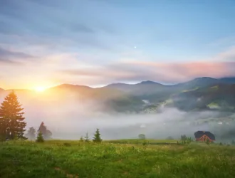 Calming Nature