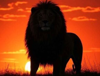 Leo Zodiac Sign