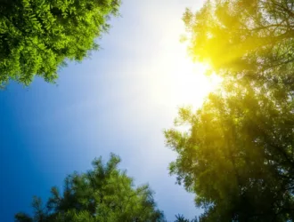 Affirmations for August
