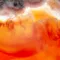 Carnelian Affirmations