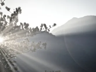 Affirmations To Start The Day