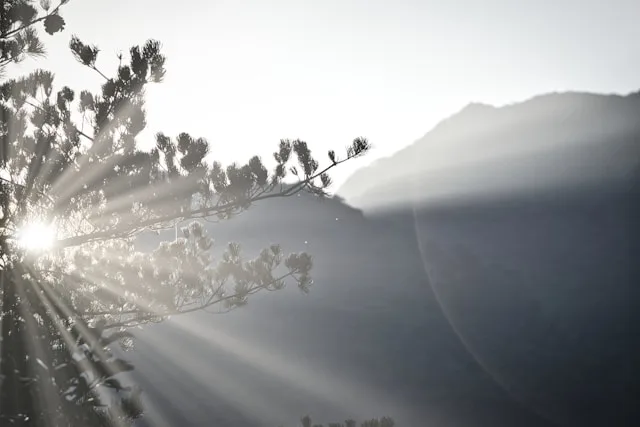 Affirmations To Start The Day